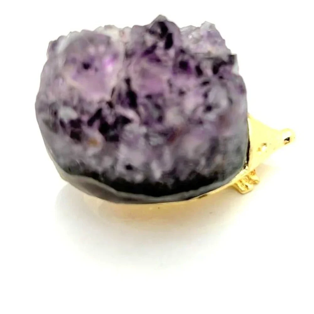 Adorable Amethyst Hedgehog